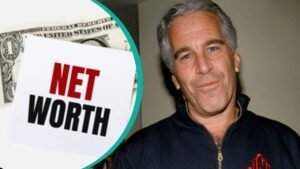 jeffrey epstein net worth
