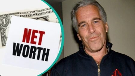 jeffrey epstein net worth