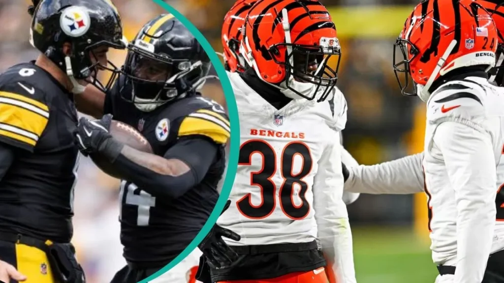 pittsburgh steelers vs bengals match player stats